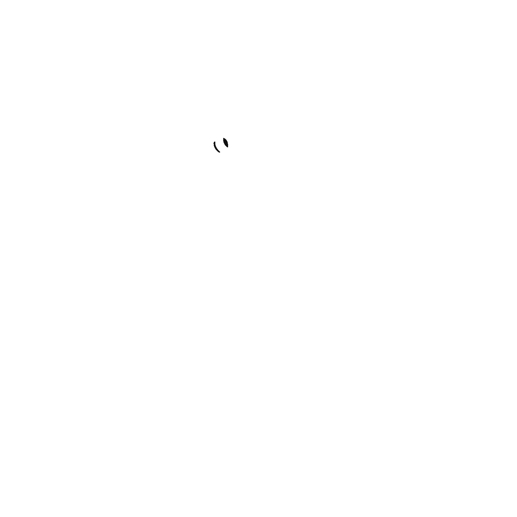 Destino Coquimbo